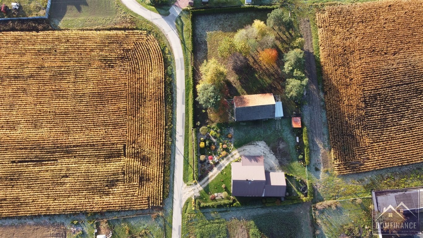 Działka budowlana na sprzedaż Morzychna  7 000m2 Foto 5