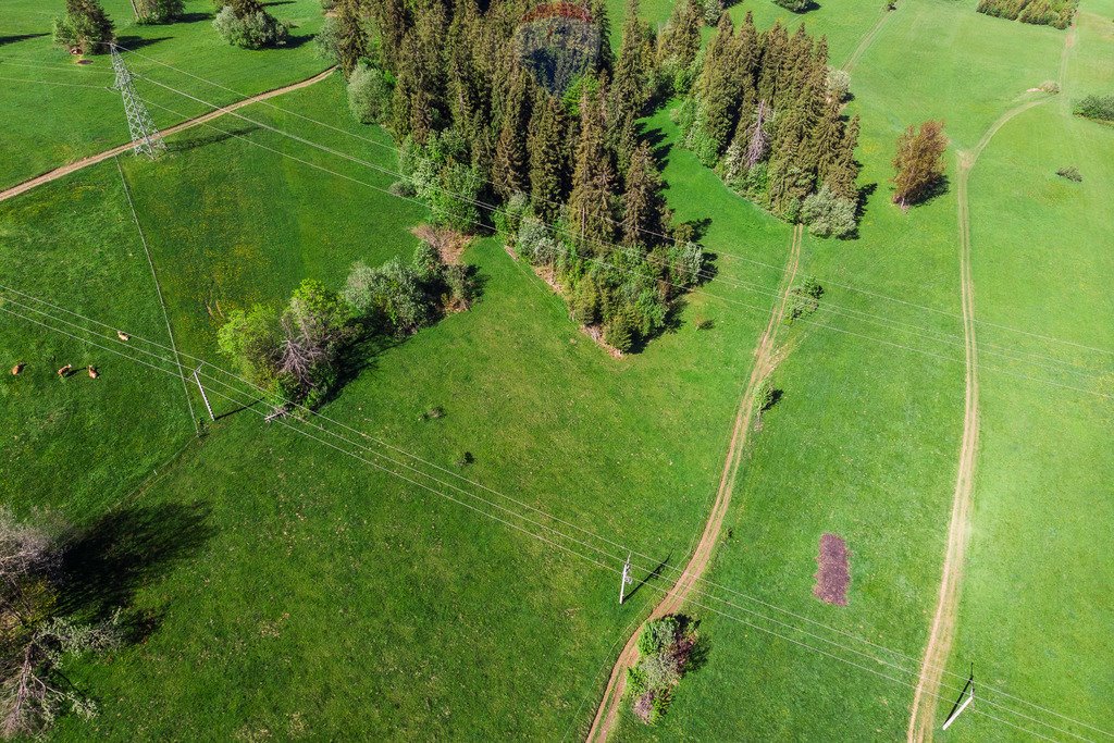 Działka rolna na sprzedaż Sierockie  1 365m2 Foto 4