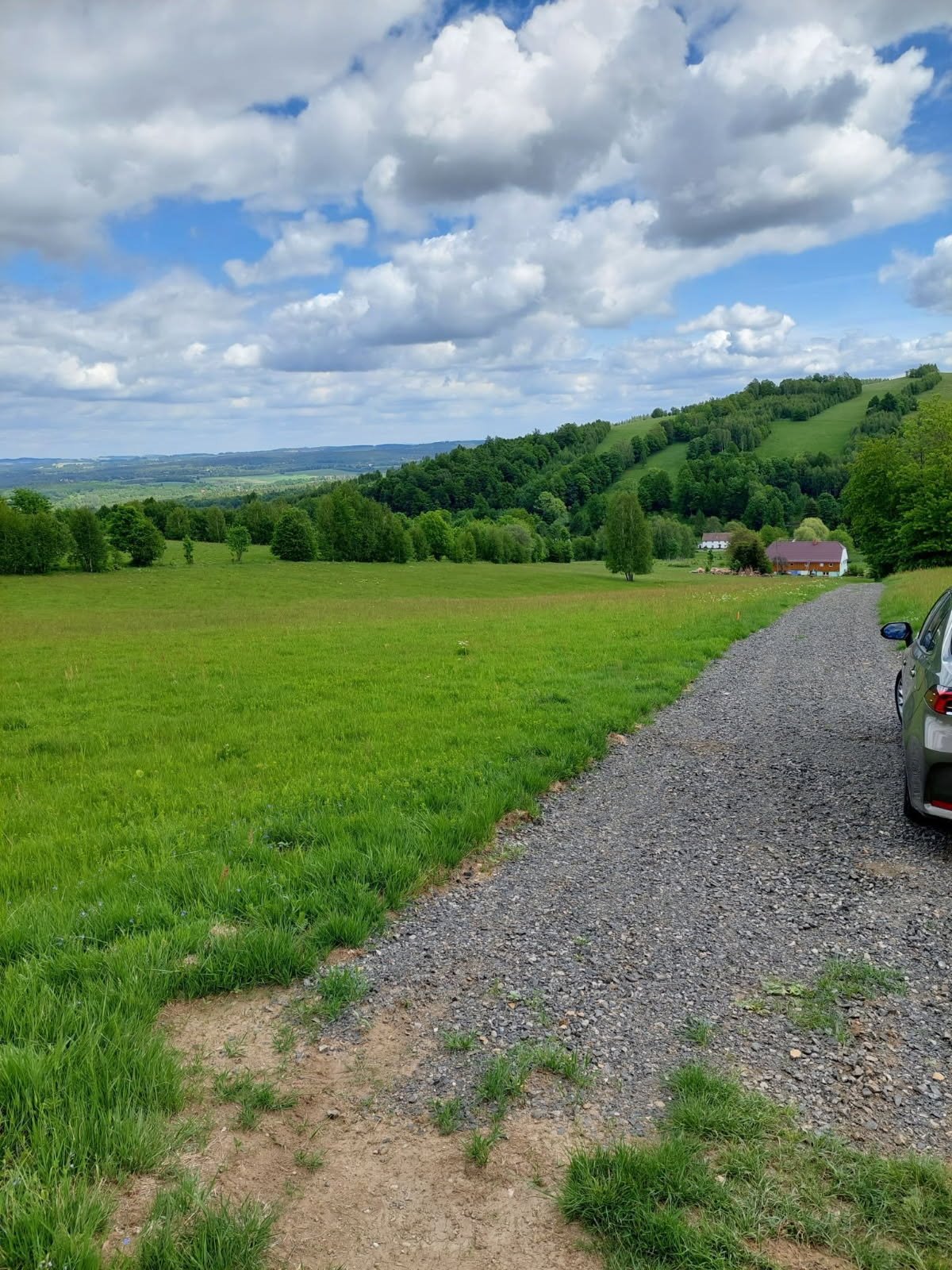 Działka w Gierczynie z historycznymi ruinami i dużym domem Gierczyn  5 000m2 Foto 1