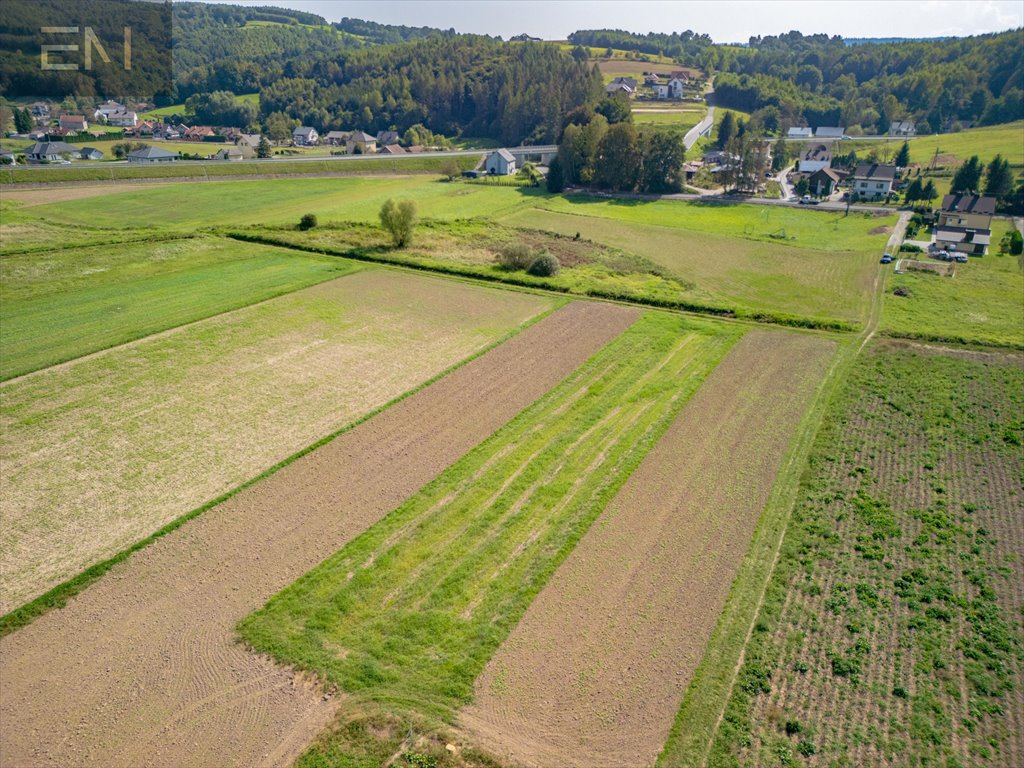 Działka budowlana na sprzedaż Strzyżów  1 577m2 Foto 7