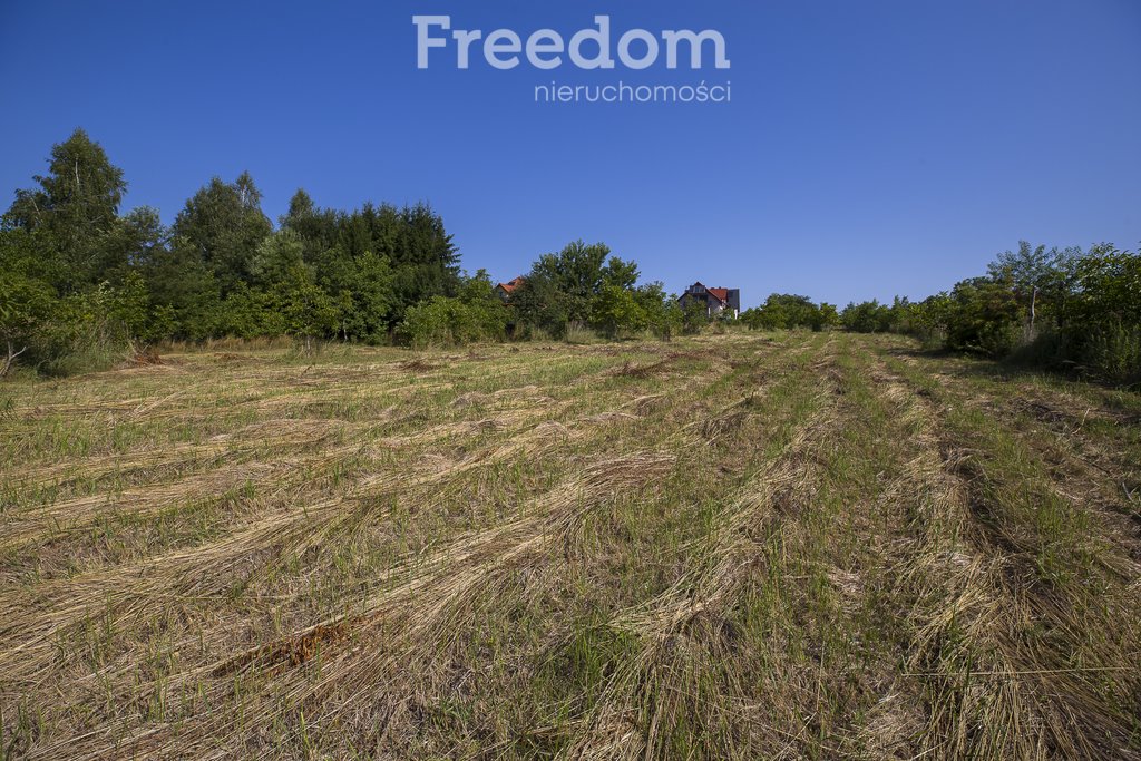 Działka budowlana na sprzedaż Rzeszów, Staroniwa, Staroniwska  9 077m2 Foto 6