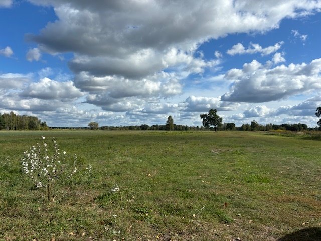 Działka rolna na sprzedaż Łąki  14 000m2 Foto 4