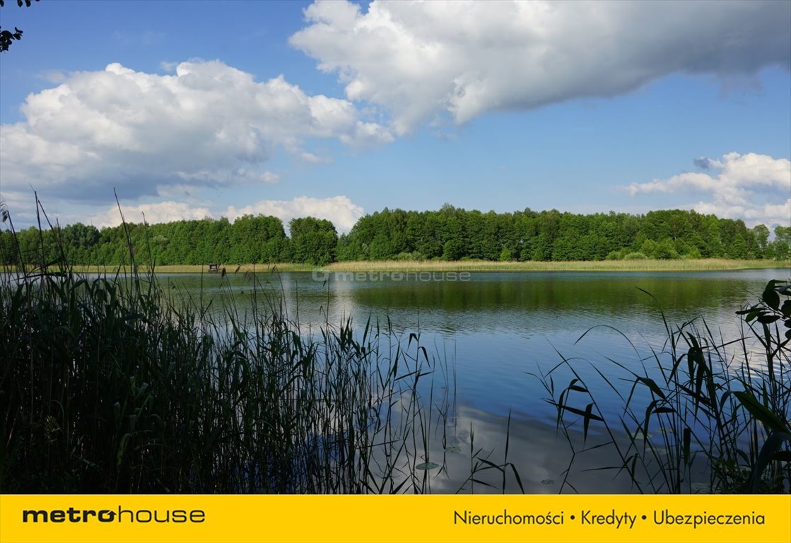 Działka rolna na sprzedaż Wielki Mędromierz  80 000m2 Foto 3