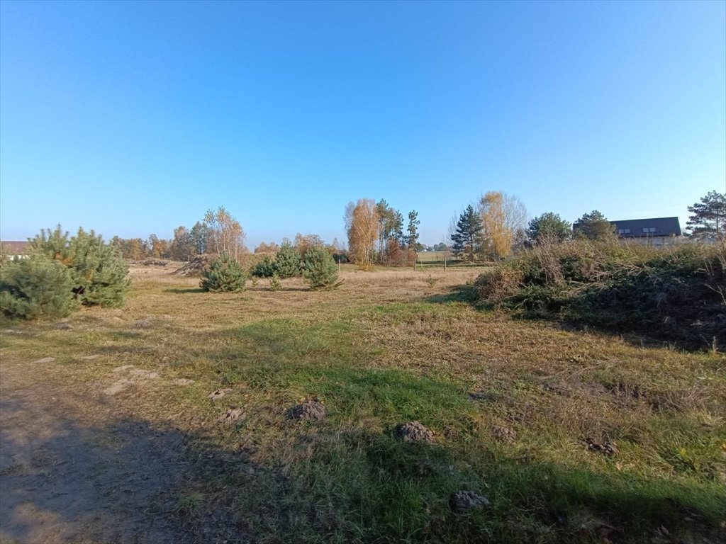 Działka inna na sprzedaż Włoszczowa, Dąbie  1 500m2 Foto 11