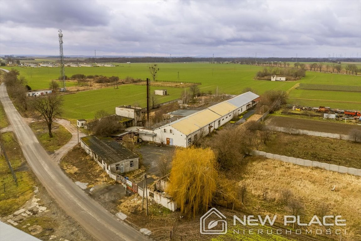 Magazyn na sprzedaż Jankowice Wielkie  2 052m2 Foto 10