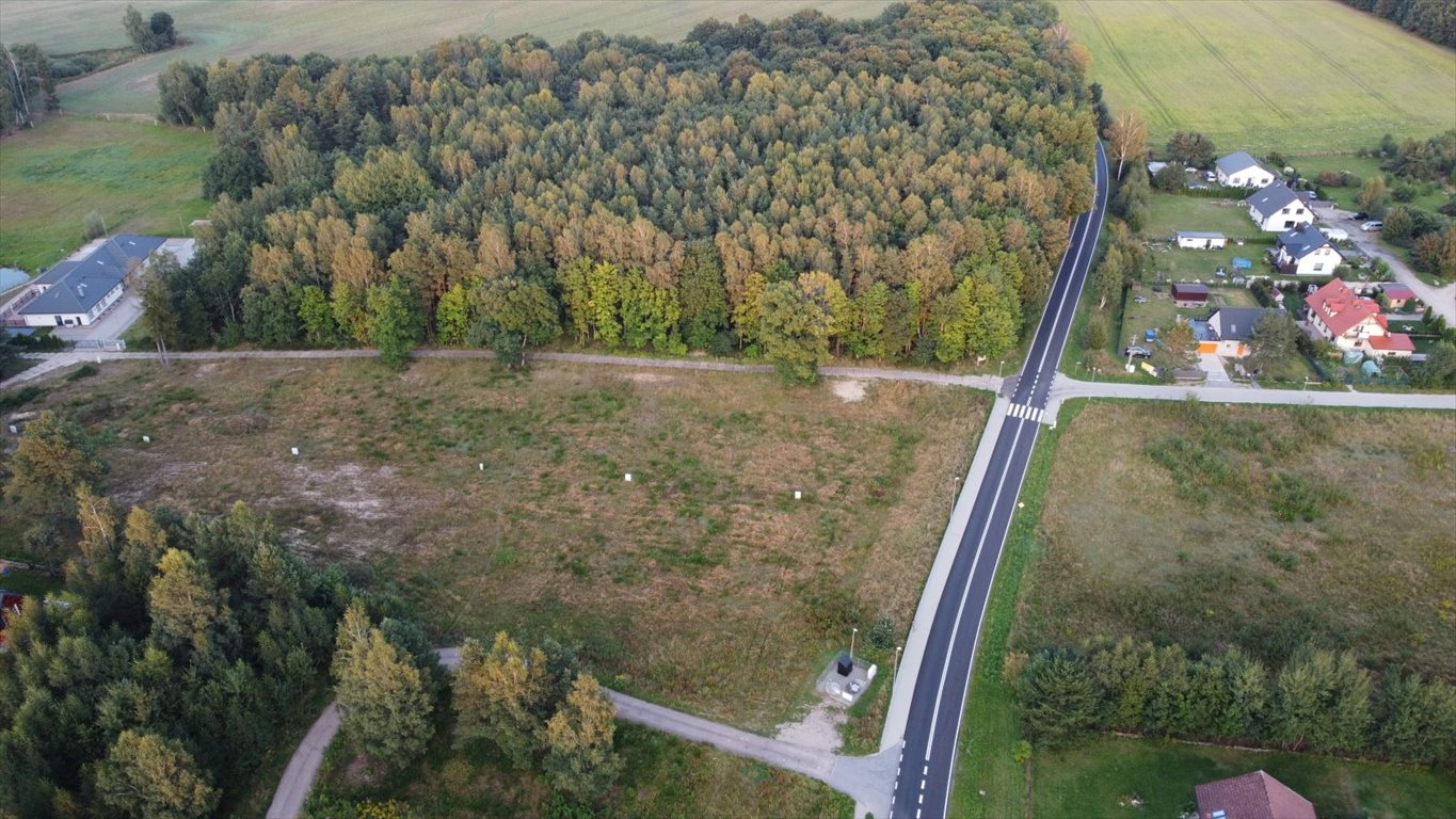 Działka leśna z prawem budowy na sprzedaż Głobino, Przy Lesie  6 200m2 Foto 10