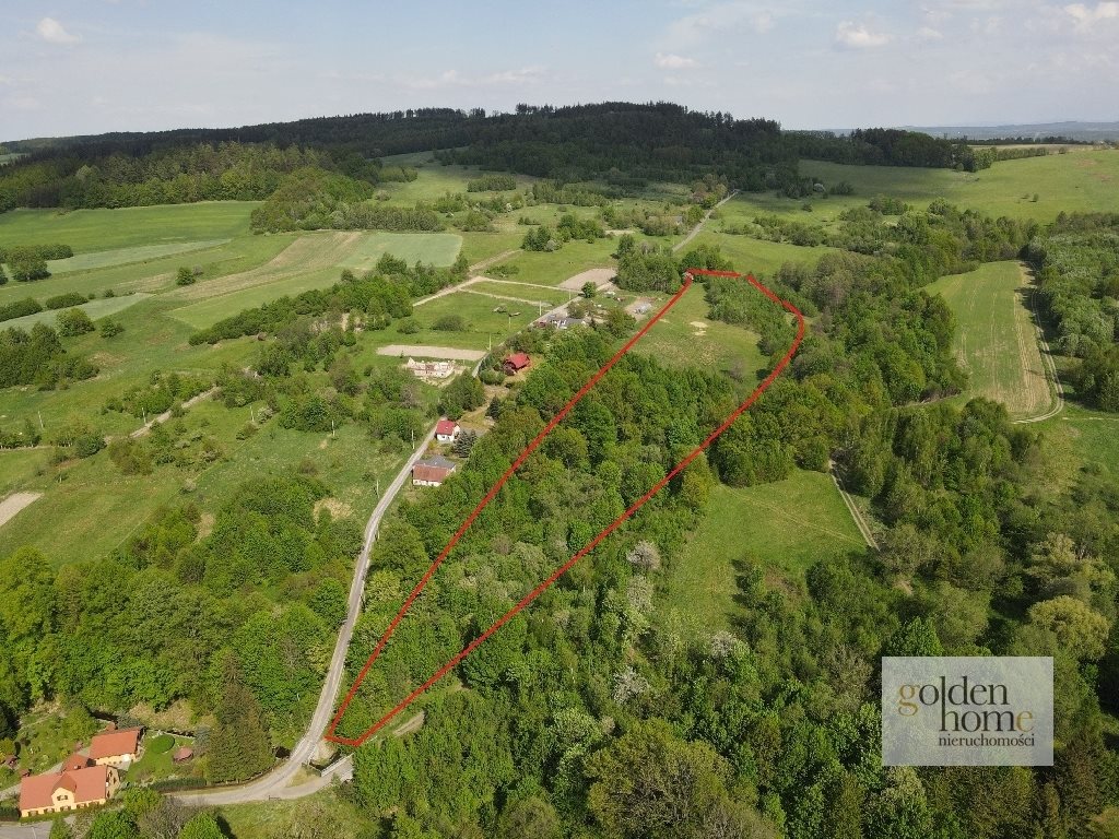 Działka siedliskowa 2,5 ha z dostępem do potoku i prądu Świecie  25 400m2 Foto 1