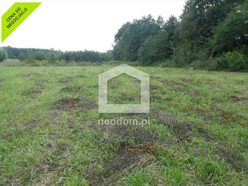 Działka budowlana na sprzedaż Trąbki 1 100m2 Foto 1 Działka budowlana na sprzedaż Trąbki 1 100m2 Foto 1