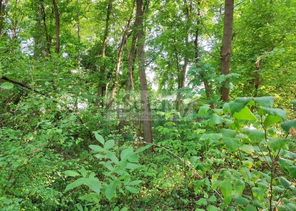 Działka 3854 m² z mediami, MPZP, Grodzisk Mazowiecki Grodzisk Mazowiecki  3 854m2 Foto 1