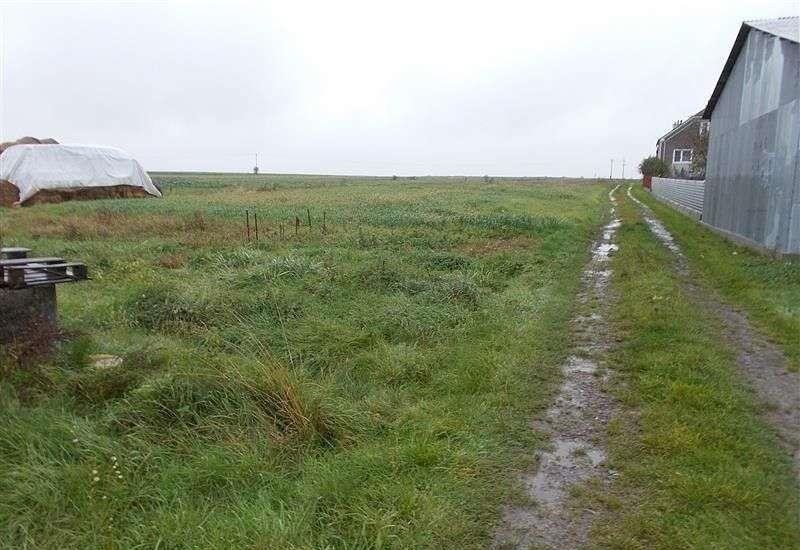 Do sprzedania działka 1900 m² w Borowej z mediami i warunkami zabudowy Borowa  1 900m2 Foto 1