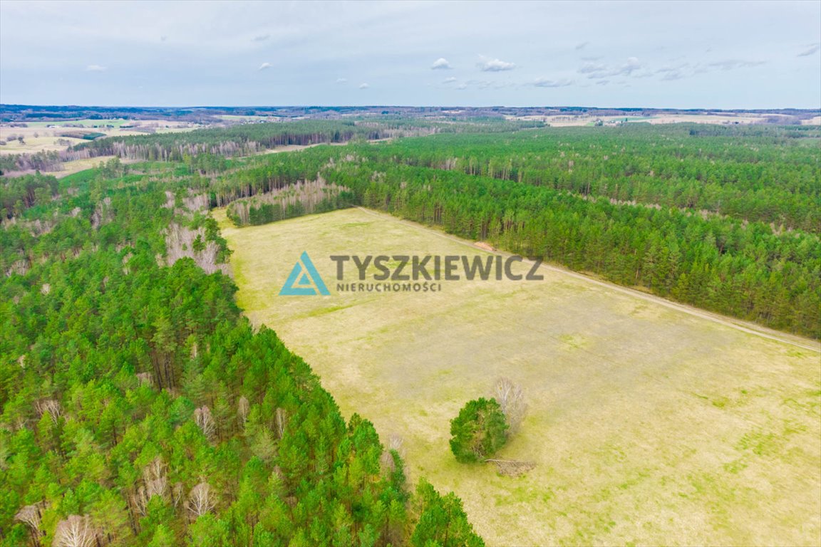 Działka rolna na sprzedaż Zielin  34 300m2 Foto 2