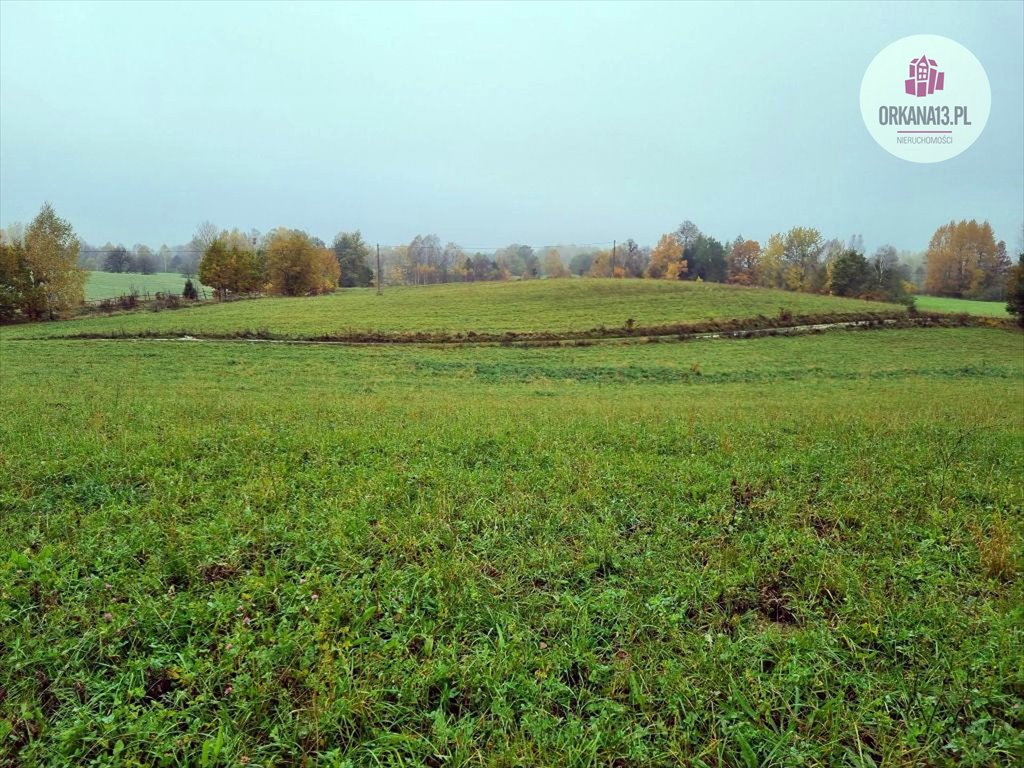 Działka rolna na sprzedaż Przykop, Przykop  27 623m2 Foto 2