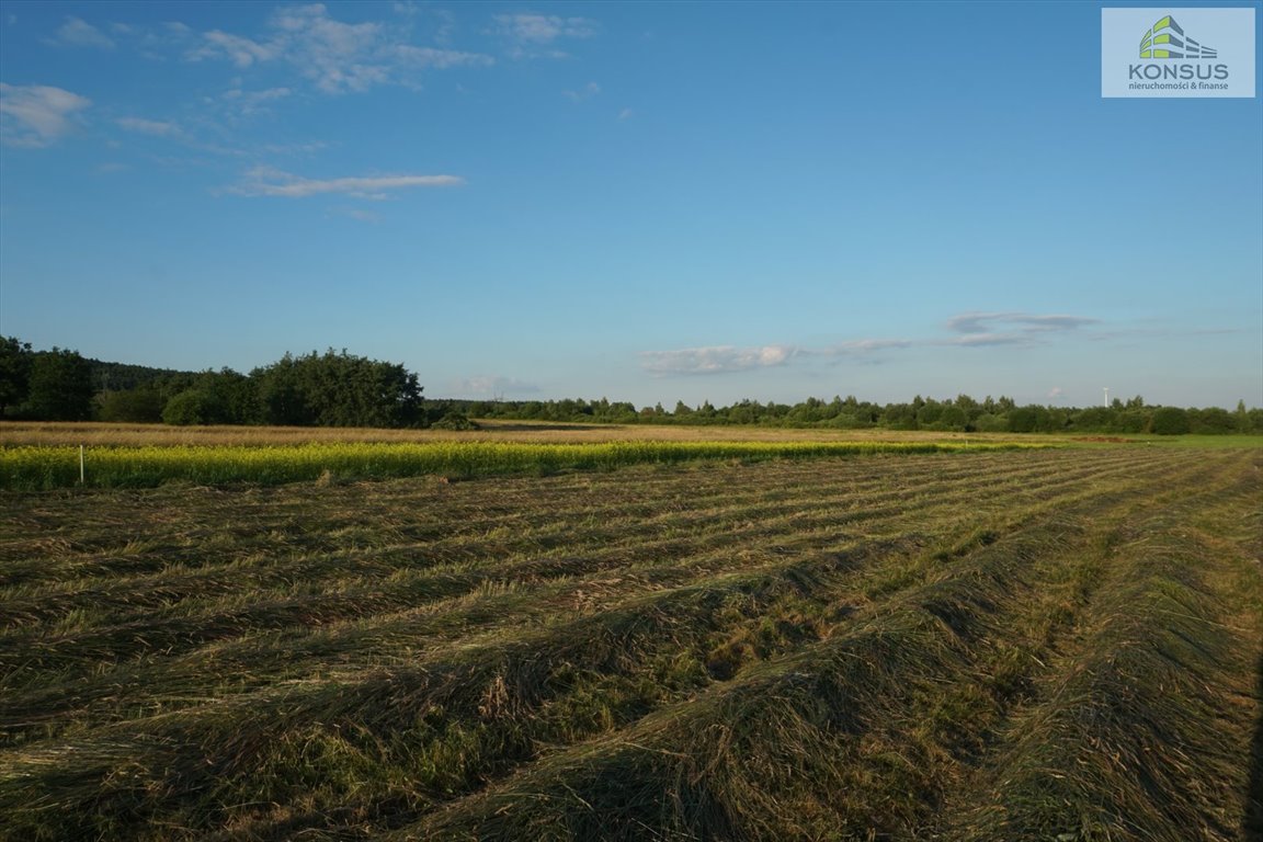 Działka budowlana na sprzedaż Chęciny, Skiby  825m2 Foto 2