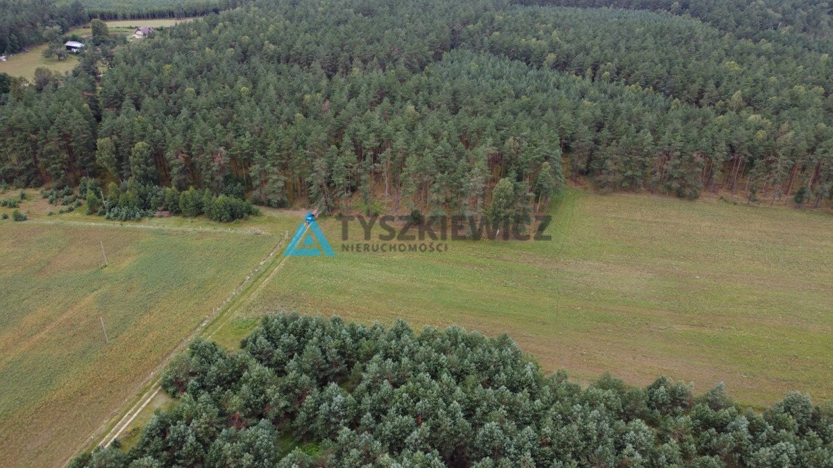 Działka rolna na sprzedaż Brzezinka  35 700m2 Foto 7