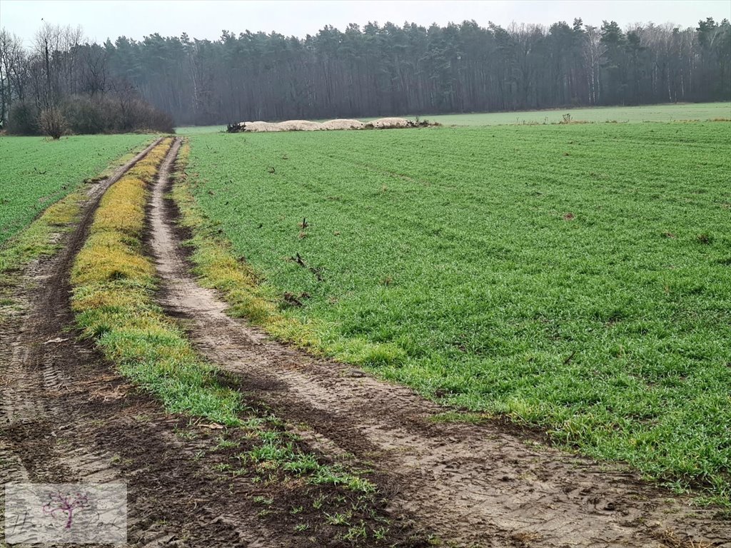 Działka budowlana na sprzedaż Gajówka, Gajówka  4 500m2 Foto 2