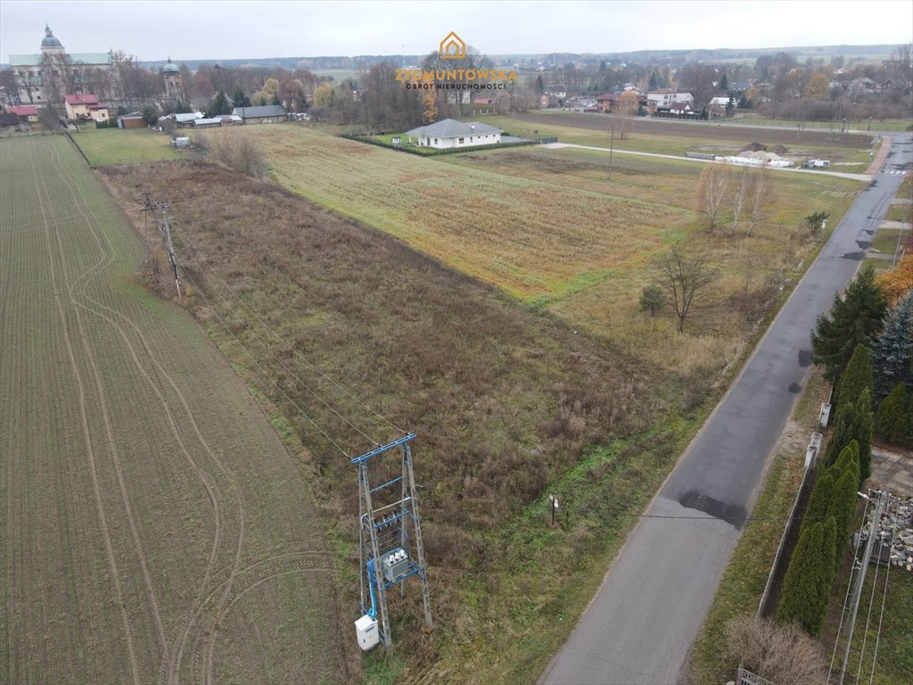 Działka inna na sprzedaż Poświętne, Poświętne, Poświętne  5 214m2 Foto 5