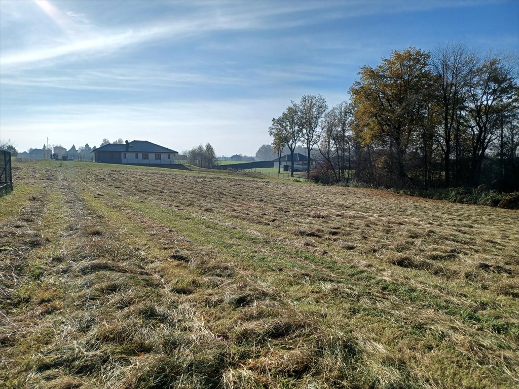 Działka budowlana na sprzedaż Pisarzowice  2 362m2 Foto 7