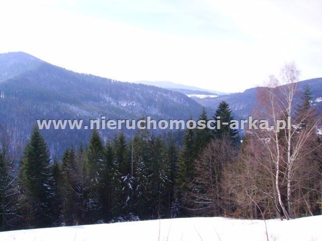 Działka rolna na sprzedaż Szczawa 1 300m2 Foto 1 Działka rolna na sprzedaż Szczawa 1 300m2 Foto 1