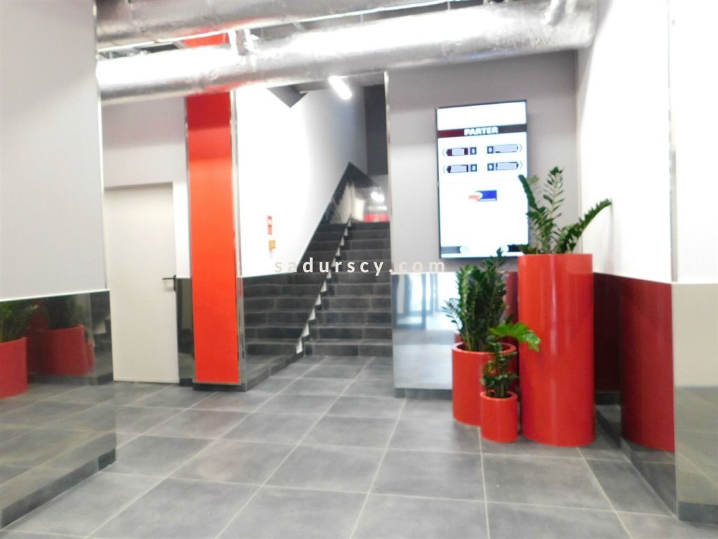 Lokal użytkowy na wynajem Piaseczno 180m2 Foto 1 Lokal użytkowy na wynajem Piaseczno 180m2 Foto 1