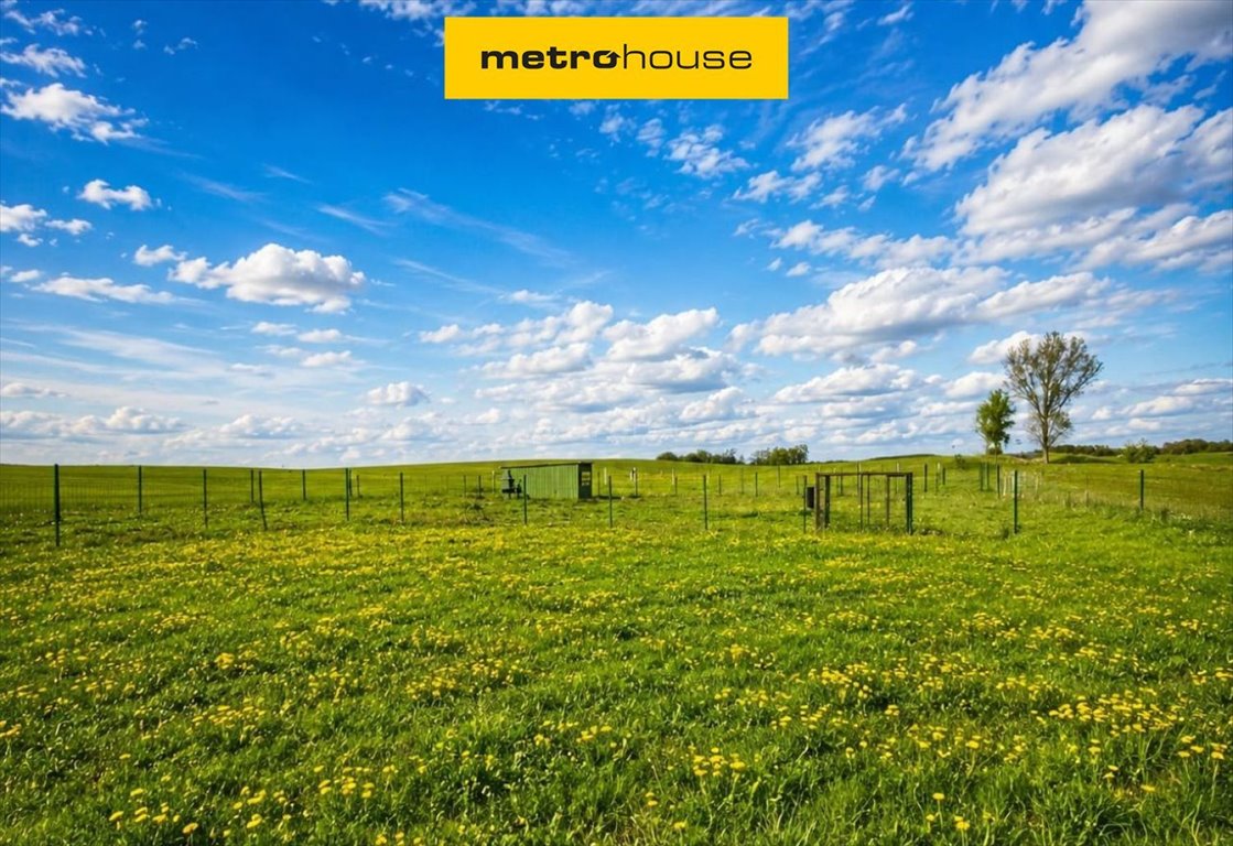 Działka pod dom w Zbożu z warunkami zabudowy i naturą Zboże  1 182m2 Foto 1