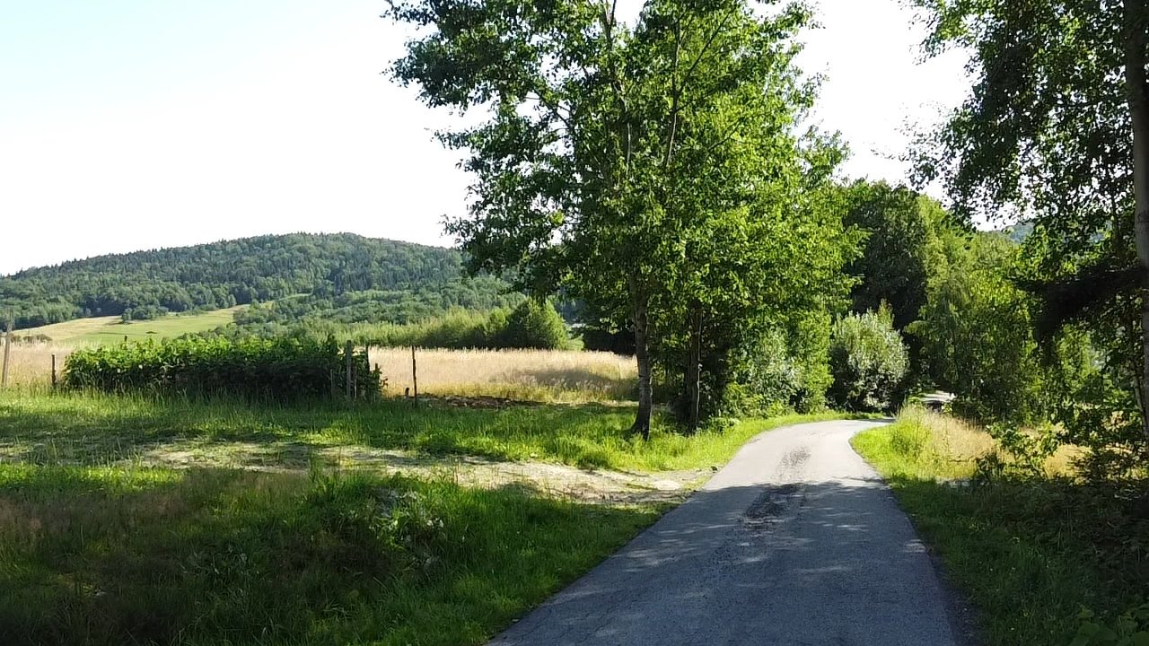 Działka budowlana na sprzedaż Szalowa  3 100m2 Foto 7