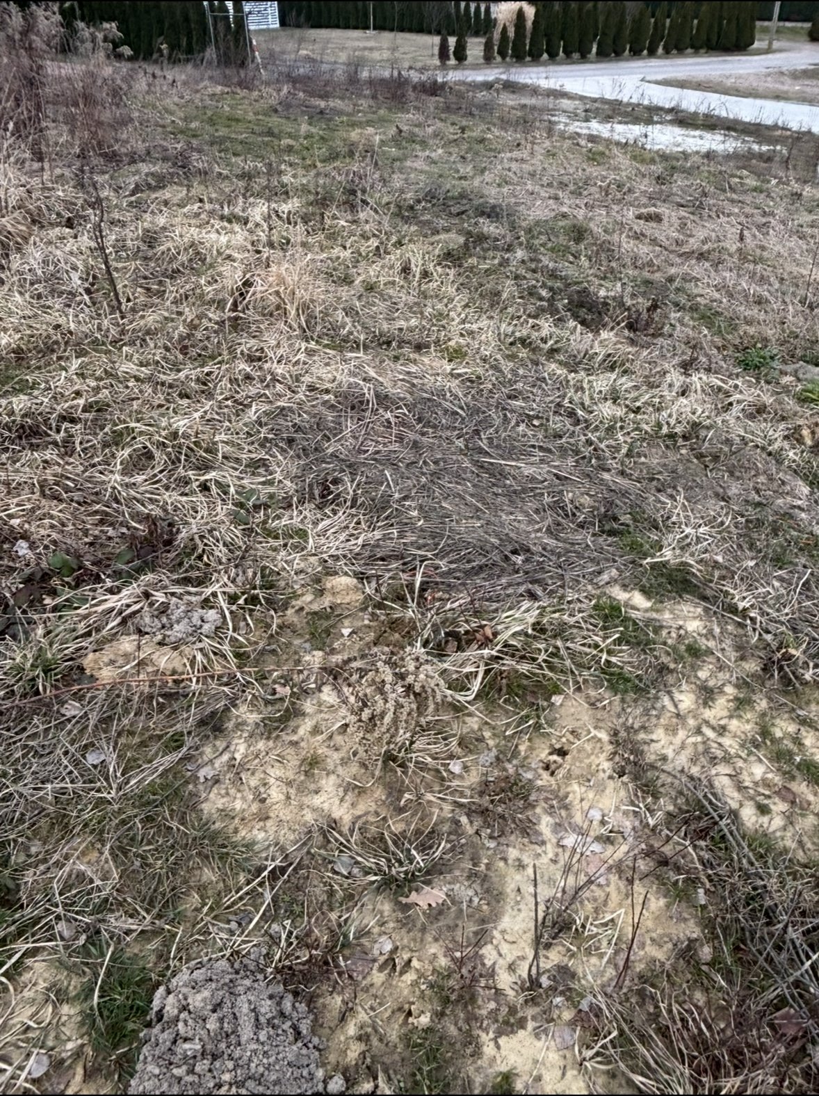 Działka budowlana 780 m² z mediami, widokowa, Rączna Rączna  780m2 Foto 1