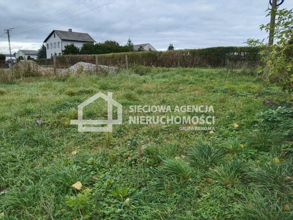 Działka przemysłowo-handlowa na sprzedaż Grochowiec  2 330m2 Foto 10