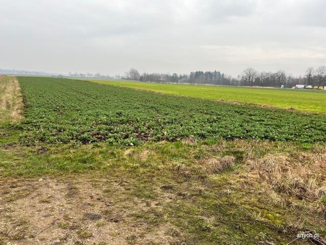 Działka inna na sprzedaż Sokołów Podlaski  5 908m2 Foto 4