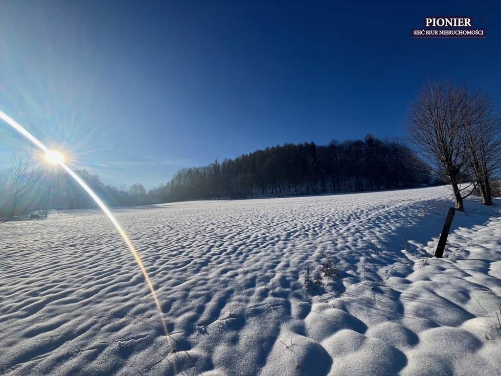 Działka budowlana na sprzedaż Ustroń  3 000m2 Foto 3