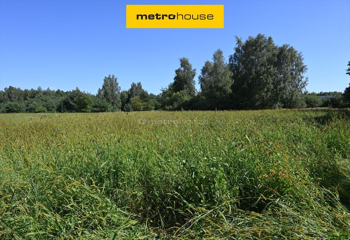 Do sprzedania duża działka 24 167 m² w Wólce Łasieckiej Wólka Łasiecka  24 126m2 Foto 1