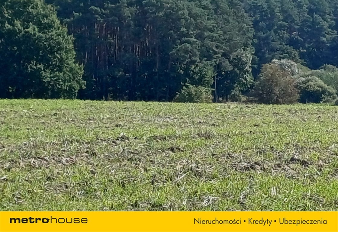 Działka inna na sprzedaż Konarzyny, Żychckie Osady  3 010m2 Foto 3