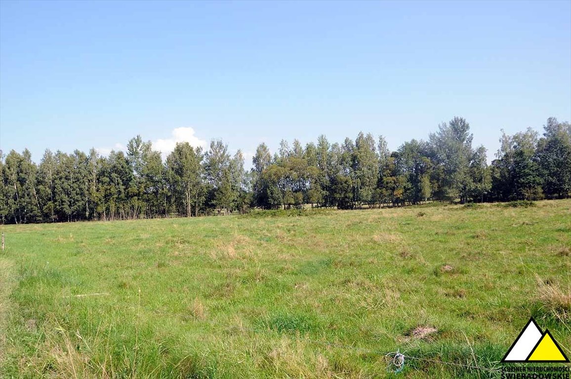 Urokliwa działka 6100 m² z dobrym dojazdem i nasłonecznieniem Kamień  6 100m2 Foto 1