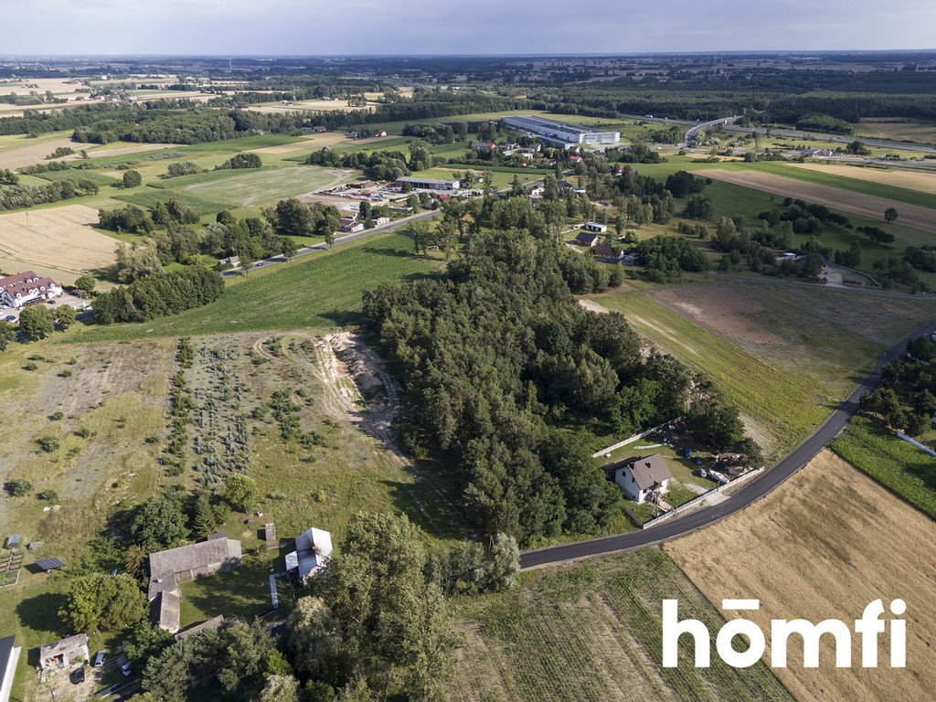 Działka inwestycyjna na sprzedaż Domanin  13 100m2 Foto 9