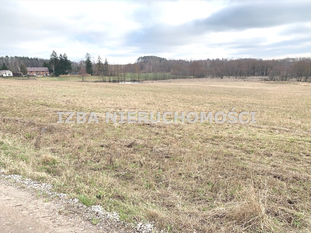 Działka rekreacyjna na sprzedaż Rękusy  3 000m2 Foto 1