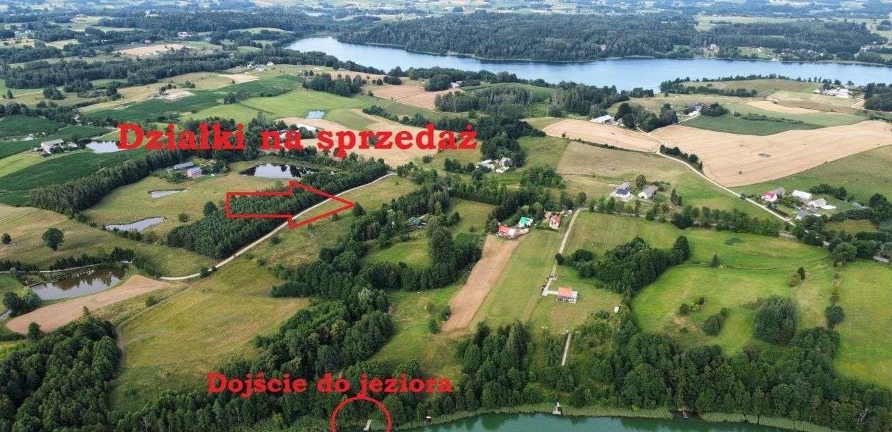 Działka rolna na sprzedaż Filipów  3 000m2 Foto 5