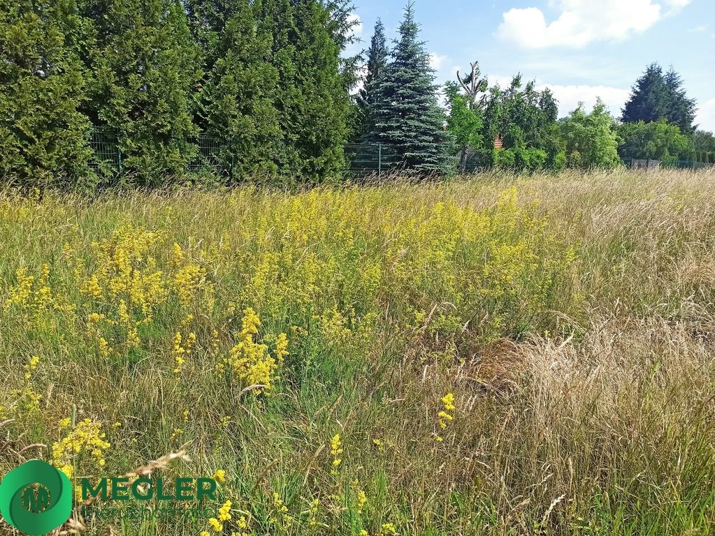 Działka budowlana na sprzedaż Żelechów  1 334m2 Foto 5