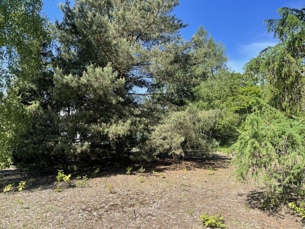 Działka budowlana na sprzedaż Arciechów  1 128m2 Foto 1