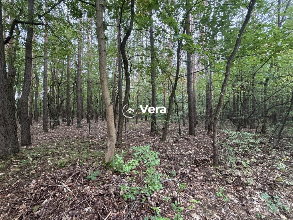 Działka 3550 m² z MPZP w Żółwinie - polecam Żółwin  3 550m2 Foto 1
