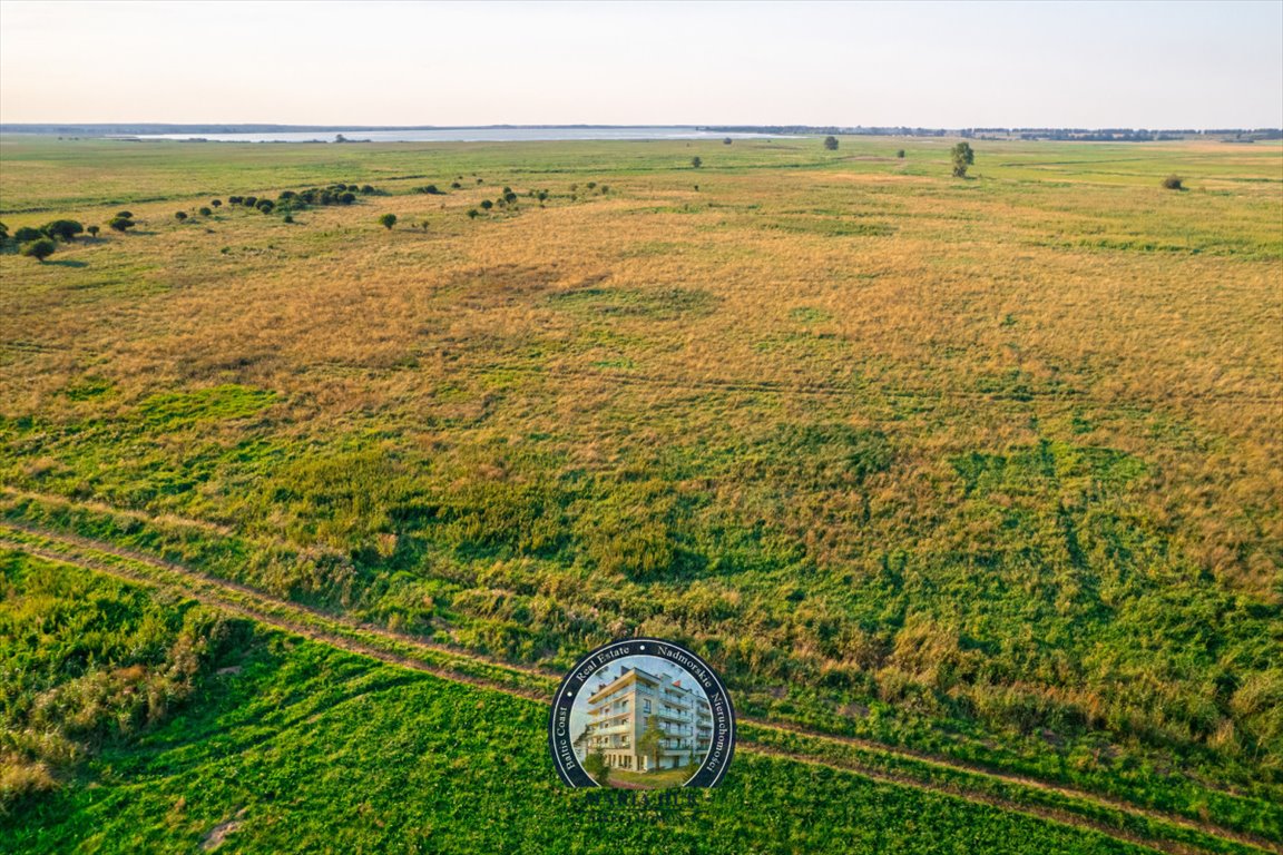 Działka gospodarstwo rolne na sprzedaż Ryszewo  13 500m2 Foto 8