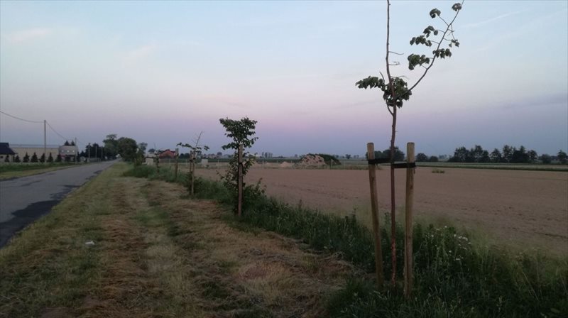 Działka budowlana na sprzedaż Droszew, Droszew 800m2 Foto 1 Działka budowlana na sprzedaż Droszew, Droszew 800m2 Foto 1