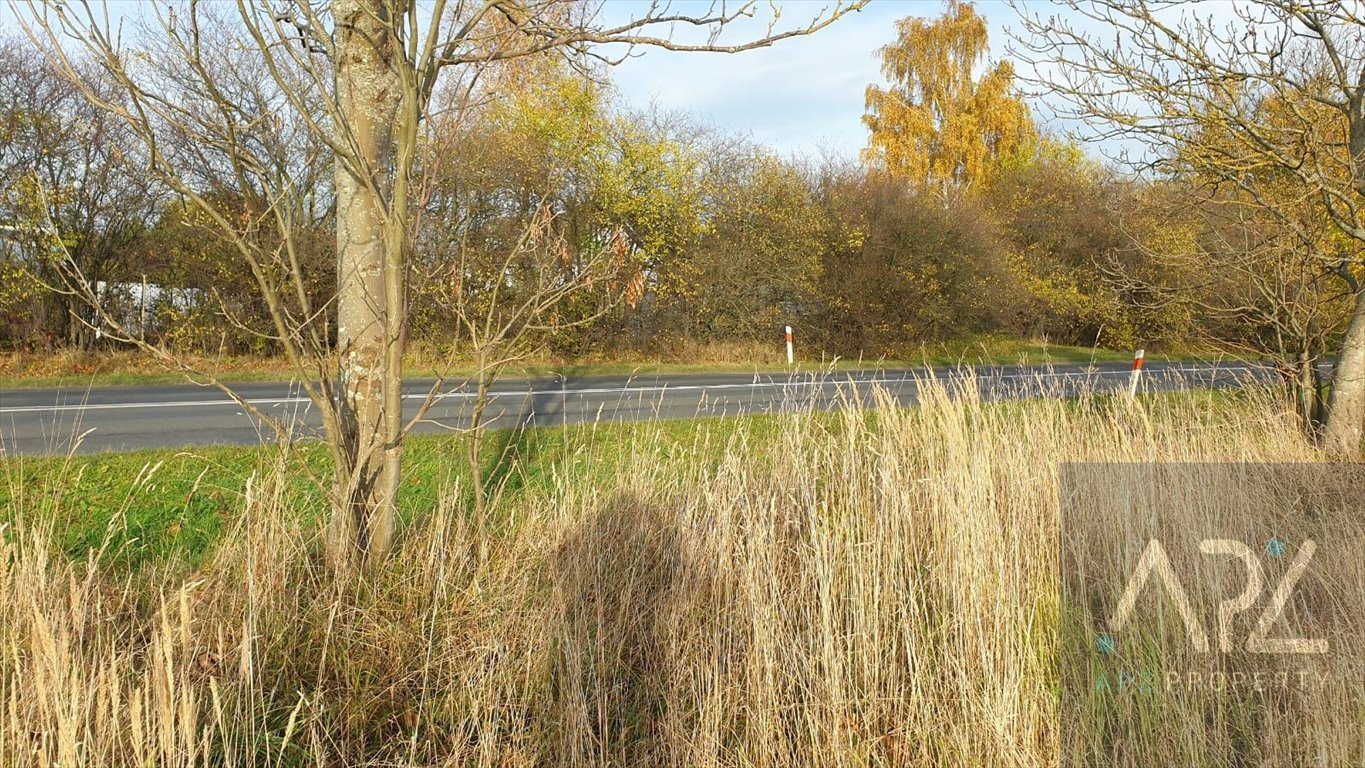 Działka inna na sprzedaż Niekanin, Białogardzka  5 754m2 Foto 4