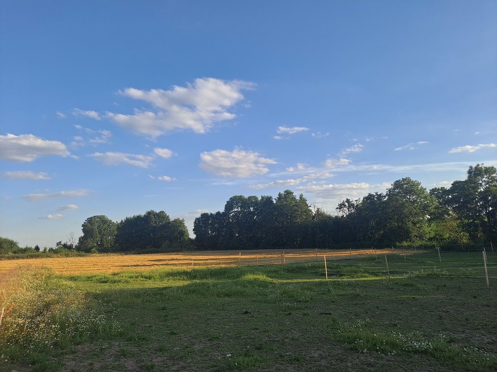 Działka budowlana na sprzedaż Biezdrowo  3 162m2 Foto 7