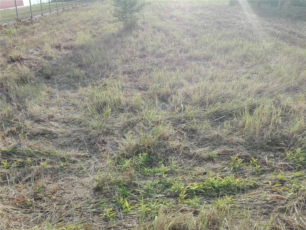 Działka budowlana 4 870 m² w Sokołowie – media, dojazd asfalt Sokołów  4 870m2 Foto 1