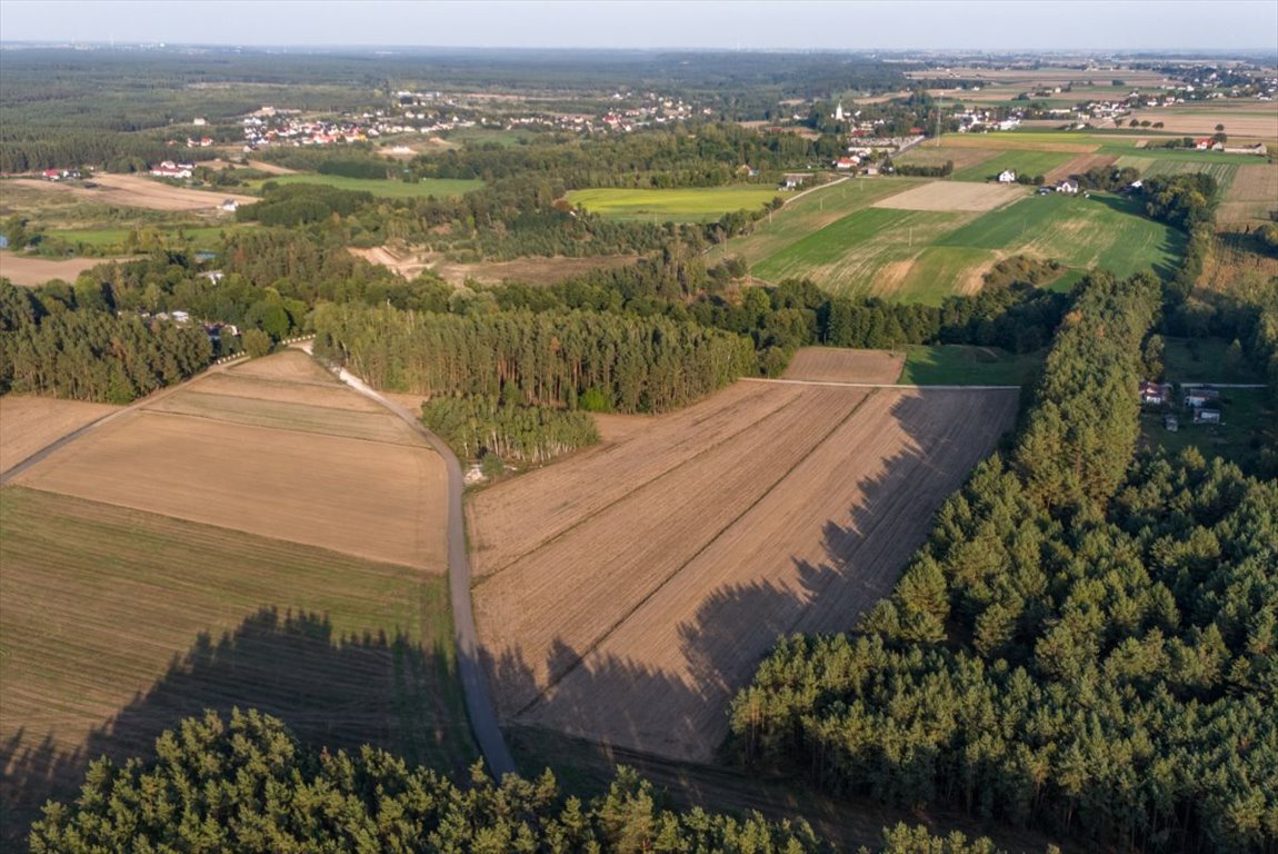 Działka rolna na sprzedaż Jesionka  6 800m2 Foto 4