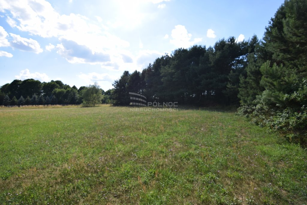 Działka budowlana na sprzedaż Czartoria  3 000m2 Foto 20