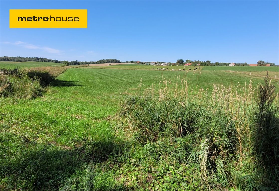 Działka inna na sprzedaż Róże  7 500m2 Foto 1