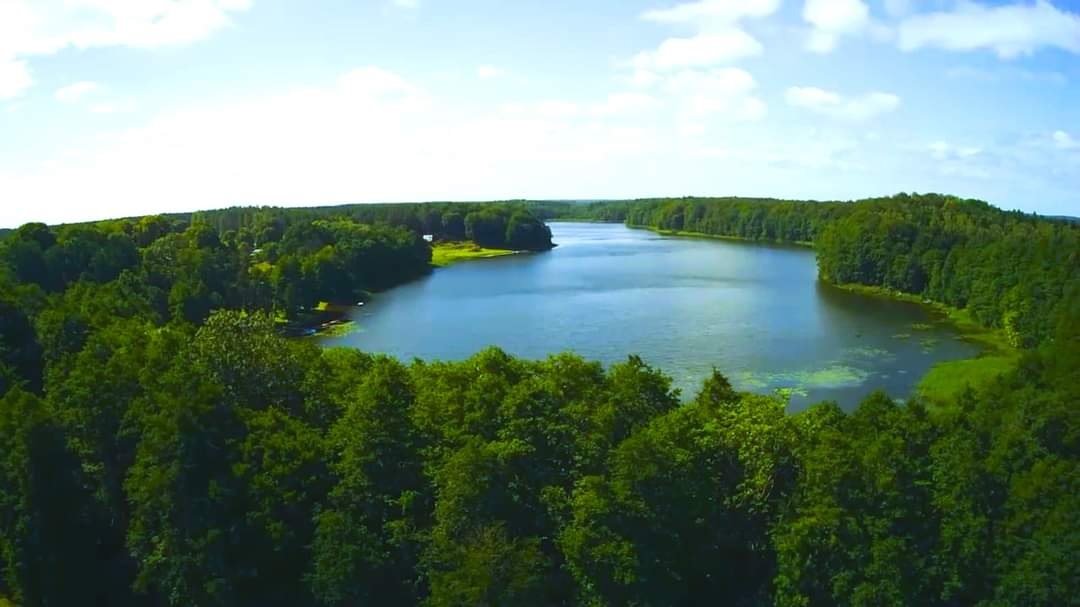 Działka budowlana na sprzedaż Gryfice, Gryfice, Kołomąć  3 300m2 Foto 4