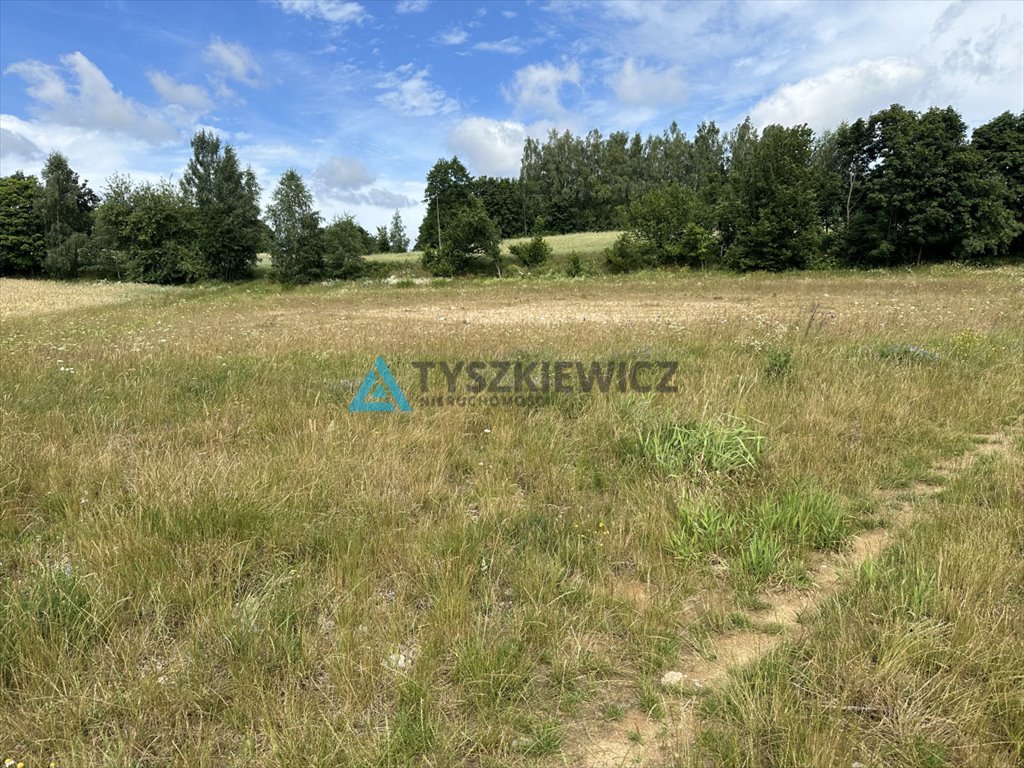 Działka rekreacyjna na sprzedaż Grabówko  1 450m2 Foto 7