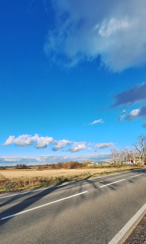 Działka inwestycyjna na sprzedaż Wiązów  15 200m2 Foto 4