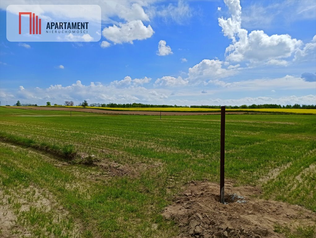 Działka rekreacyjna na sprzedaż Niemojewo  800m2 Foto 1